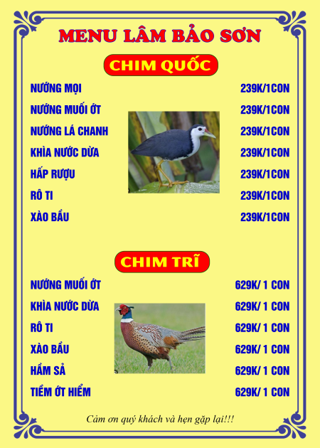 Mục 19