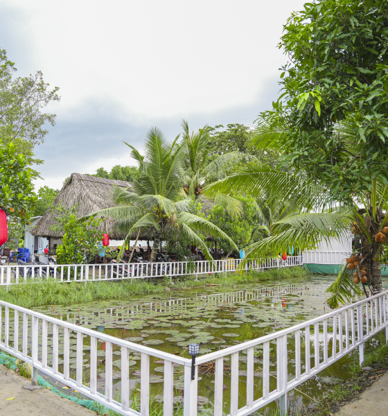 Hình ảnh 3 
