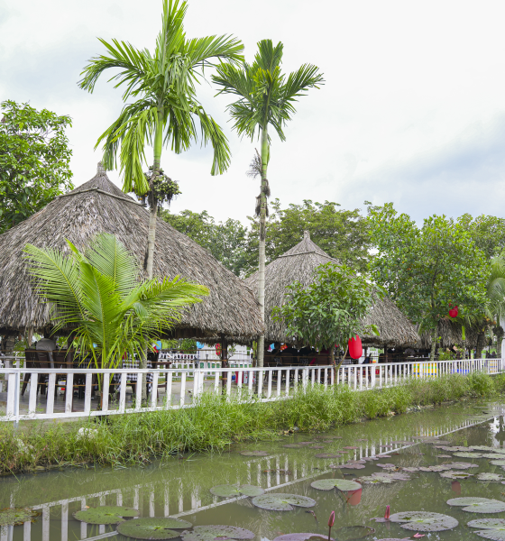 Hình ảnh 4
